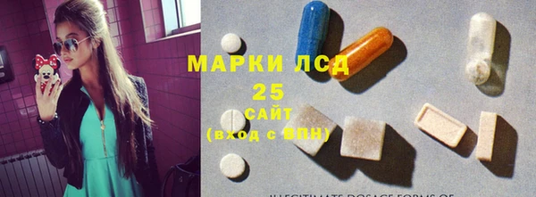 дживик Карпинск