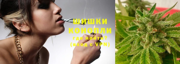 дживик Карпинск