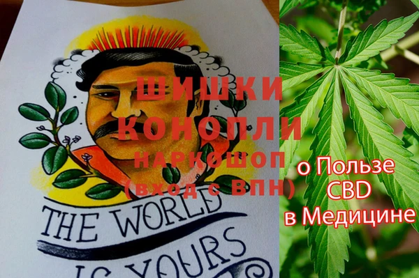 дживик Карпинск