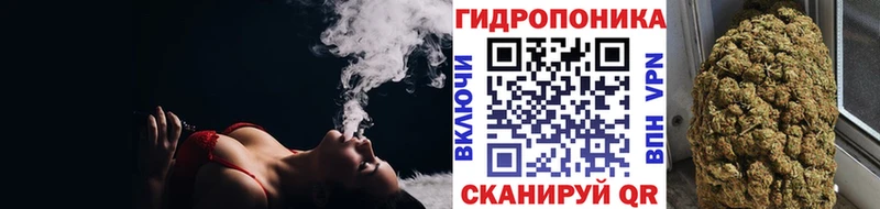 Купить  Бологое  Бошки марихуана ГИДРОПОН 